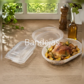 Bandejas y Estuches Plásticos